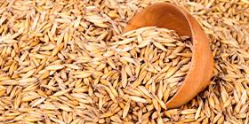 Oat