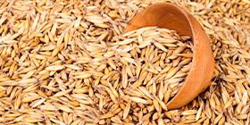 Oat