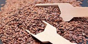 Brown linseed