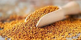 Brown mustard seeds