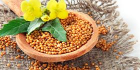 White mustard seeds