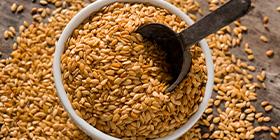 Golden linseed